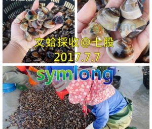 解決文蛤暴斃文蛤空飄文蛤死亡文蛤危機